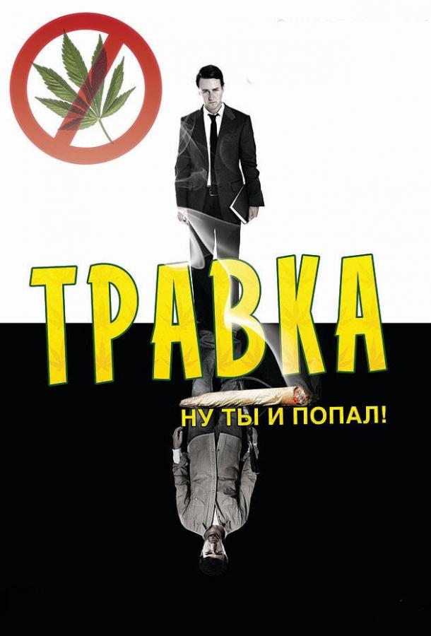 Травка 2009 Смотреть Онлайн Бесплатно в Хорошем Качестве